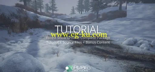 Gumroad – Forest Snow Ground Complete Package的图片1