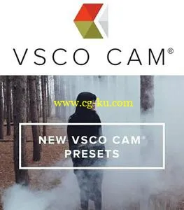 VSCO CAM Presets in LUTs Win/Mac的图片1