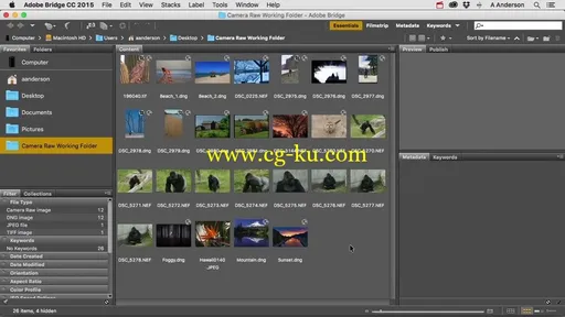 Adobe Camera Raw Workflow的图片1