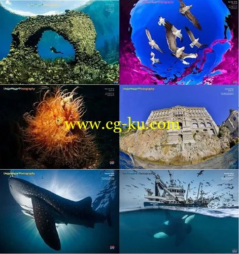 Underwater Photography – 2016 Full Year Issues Collection-P2P的图片1