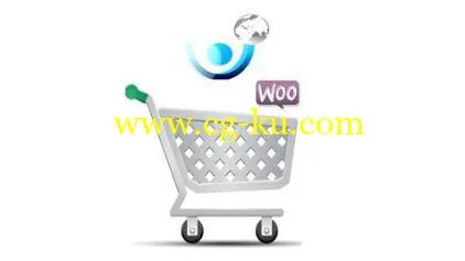 Build a Successful Ecommerce WordPress site with proper SEO (2016)的图片1