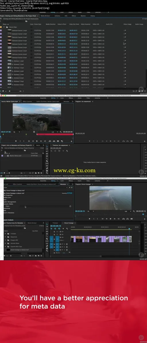 Premiere Pro CC Mastering Metadata (2016)的图片2