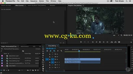 Premiere Pro CC Tips的图片1