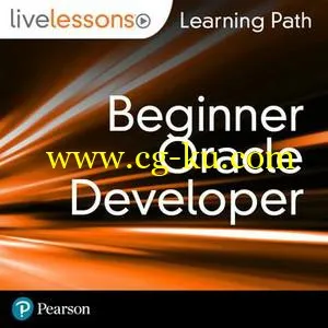 Learning Path: Beginner Oracle Developer的图片1