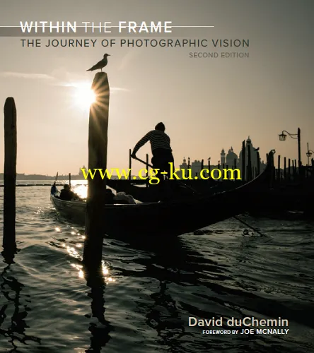 Within the Frame: The Journey of Photographic Vision (2nd Edition)-P2P的图片1