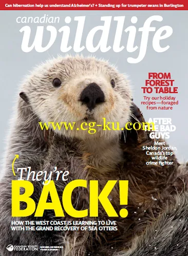 Canadian Wildlife – November/December 2016-P2P的图片1