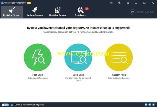 Wise Registry Cleaner Pro 9.65.631 Multilingual的图片1