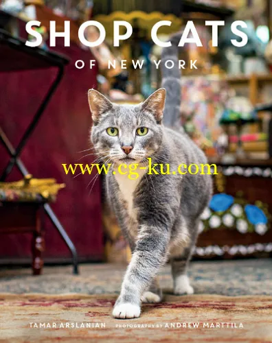 Shop Cats of New York-P2P的图片1
