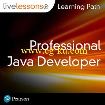 Learning Path: Professional Java Developer的图片1