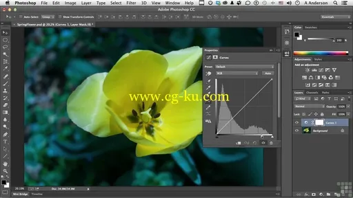 Learning Adobe Photoshop CC的图片2