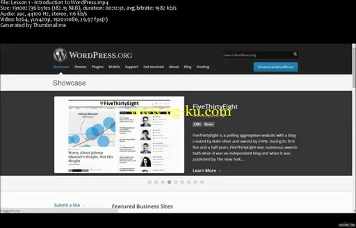 WordPress Marketing – Profits With Powerful WordPress Plugins (2016)的图片2