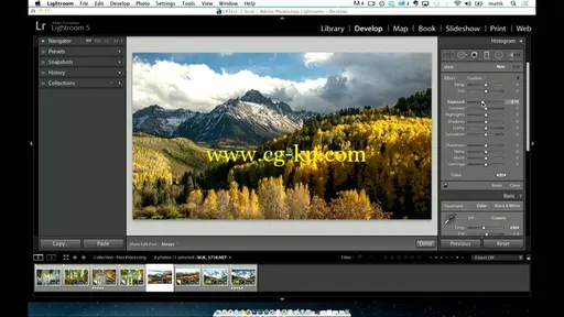 Kelby Training – Fall Photography Field Guide的图片4