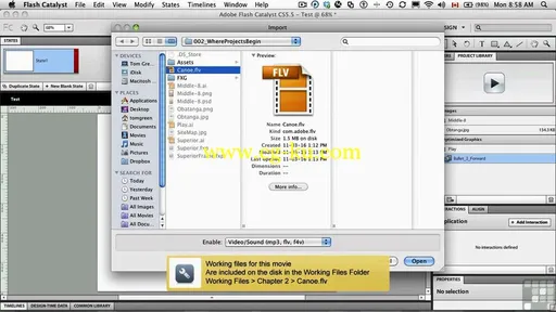Infinite Skills – Learning Adobe Flash Catalyst CS5.5 Training Video的图片3