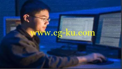 Become a Successful Programmer Without a Degree的图片1