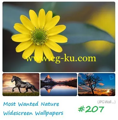 Most Wanted Nature Widescreen Wallpapers #207-P2P的图片1