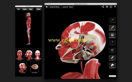 Muscle System Pro III v3.0 MacOSX的图片1