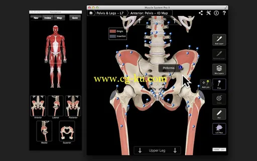 Muscle System Pro III v3.0 MacOSX的图片3