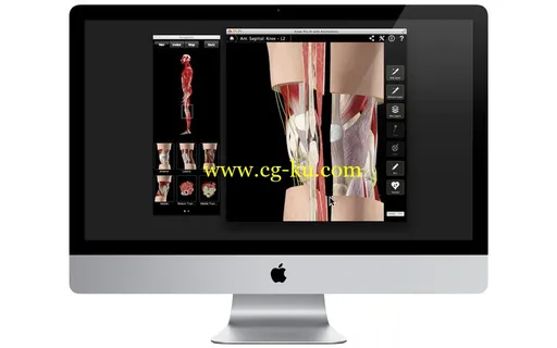 Knee Pro III with Animations v3.2.2 MacOSX的图片1