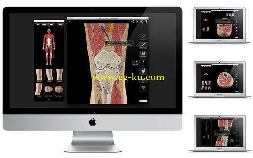 Knee Pro III with Animations v3.2.2 MacOSX的图片3