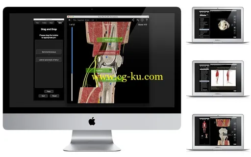 Knee Pro III with Animations v3.2.2 MacOSX的图片4