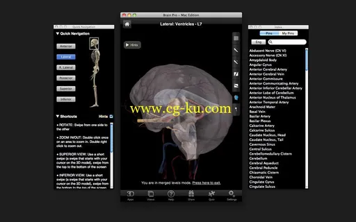 Brain Pro v1.0 MacOSX的图片1