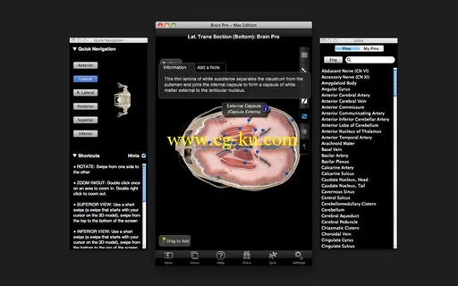 Brain Pro v1.0 MacOSX的图片3