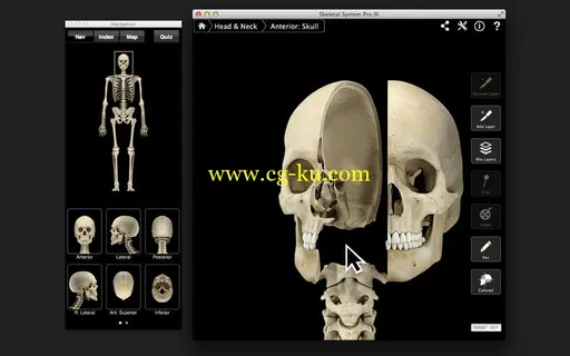 Skeletal System Pro III v3.0 MacOSX的图片1