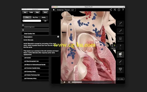 Heart Pro III v3.0 MacOSX的图片1