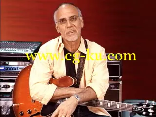 TrueFire – 335 Blues with Larry Carlton’s的图片2