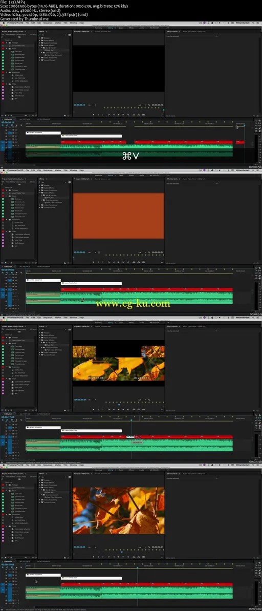 Adobe Premiere Pro CC For Beginners: Learn Video Editing In Premiere Pro CC Today的图片2