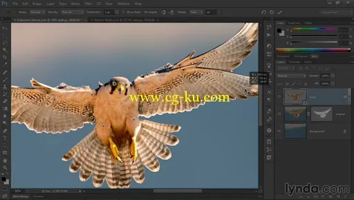 Photoshop CC One-on-One: Mastery的图片2