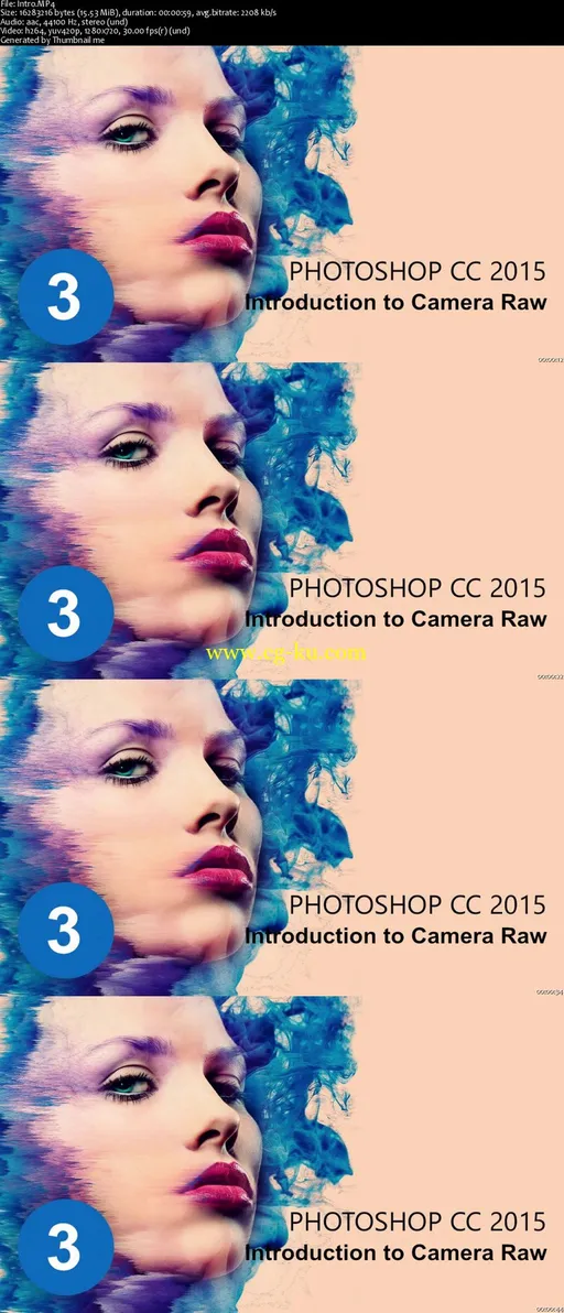 The Ultimate Photoshop CC 2015 Tutorial : Introduction to Camera Raw的图片2