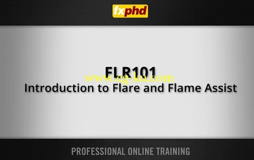 FXPHD – FLR101 – Introduction to Flare and Flame Assist的图片1