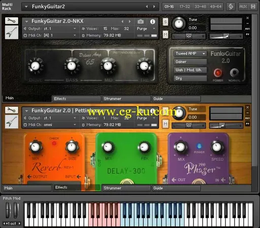 Pettinhouse FunkyGuitar 2.0 KONTAKT的图片1