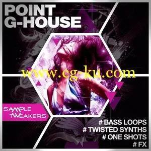 Sample Tweakers Point G House WAV MiDi MASSiVE SYLENTH1的图片1