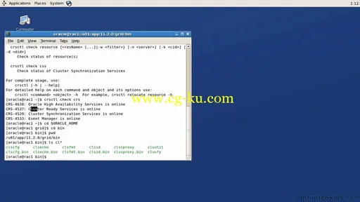 Infinite Skills – Learning Oracle 11g – Real Application Clusters Training Video的图片2