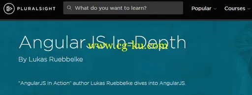 AngularJS In-Depth By Lukas Ruebbelke的图片1