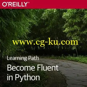 Learning Path: Become Fluent in Python的图片1