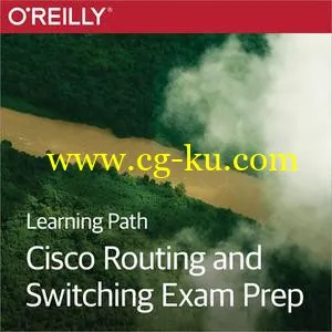 Learning Path: Cisco Routing and Switching Exam Prep的图片1