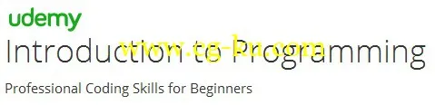 Introduction to Programming的图片1