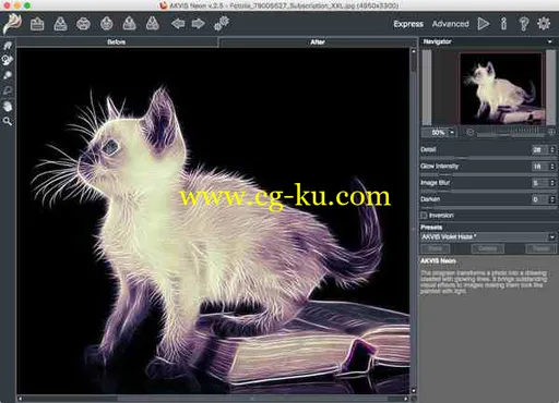 AKVIS Neon 2.5.0 (Stand-Alone & Plugin for Photoshop) MacOSX的图片1