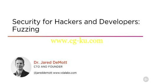 Security for Hackers and Developers – Fuzzing的图片2