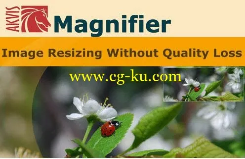 AKVIS Magnifier 9.0.1190.13970 Multilingual的图片1