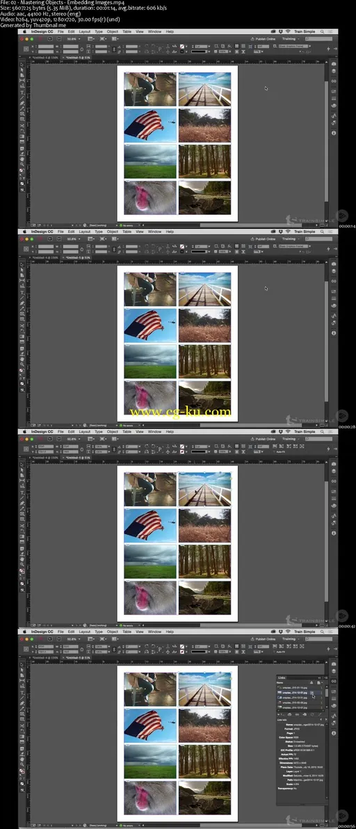 InDesign CC Mastering Objects的图片2