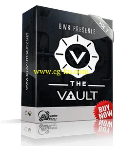 Bigwhite Beatz – THE VAULT MULTiFORMAT的图片1