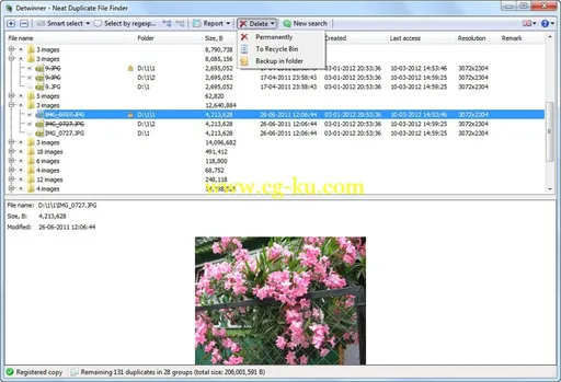 Detwinner 2.03.004 Multilingual + Portable的图片1