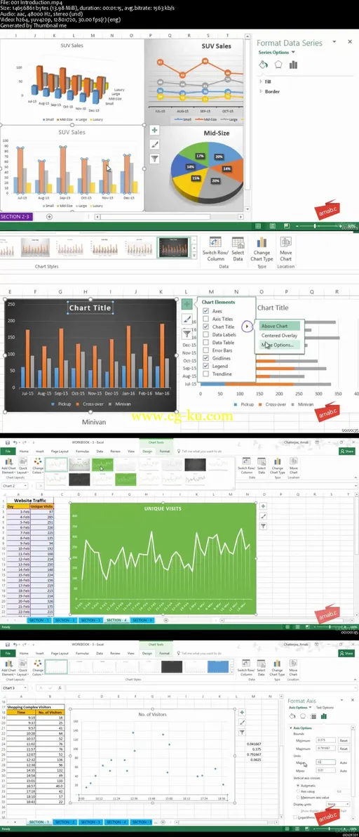 Microsoft Excel 2016: Advanced Training in Charts的图片2