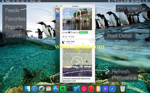 Direct Message for Instagram Pro 4.2.3 MacOSX的图片1