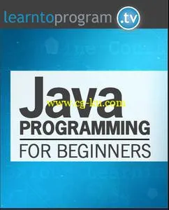 Java Programming for Beginners的图片1