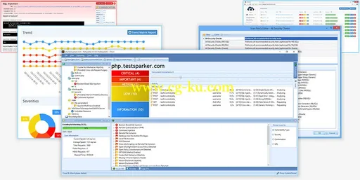 Netsparker Professional 4.6.1.11435的图片1